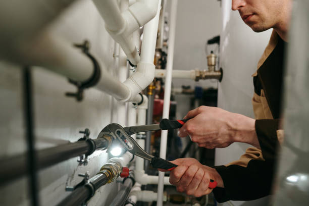 Best Clogged Drain Plumber  in Valmeyer, IL