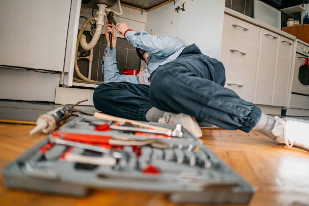 Best Commercial Plumbing Services  in Valmeyer, IL