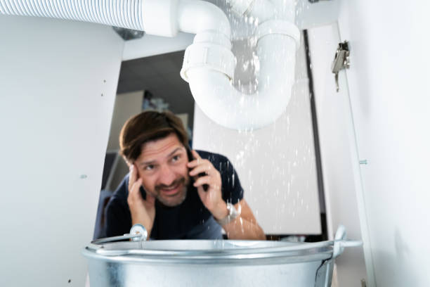 Best Shower Repair Services  in Valmeyer, IL