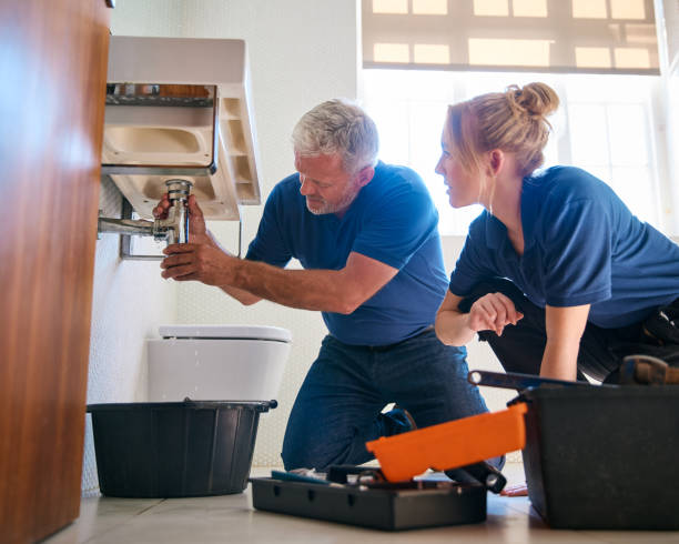 Best Water Leak Repair  in Valmeyer, IL